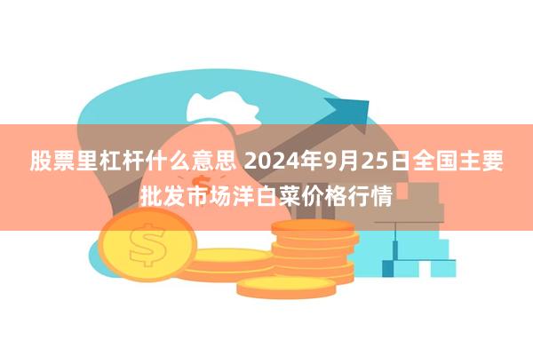 股票里杠杆什么意思 2024年9月25日全国主要批发市场洋白菜价格行情