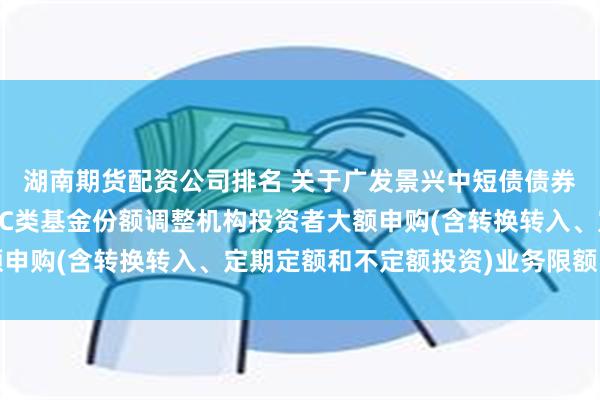 湖南期货配资公司排名 关于广发景兴中短债债券型证券投资基金A类和C类基金份额调整