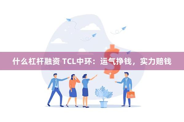 什么杠杆融资 TCL中环：运气挣钱，实力赔钱