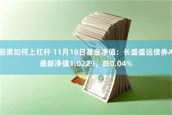 股票如何上杠杆 11月18日基金净值：长盛盛远债券A最新净值1.0229，跌0.