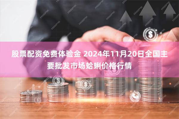 股票配资免费体验金 2024年11月20日全国主要批发市场蛤蜊价格行情