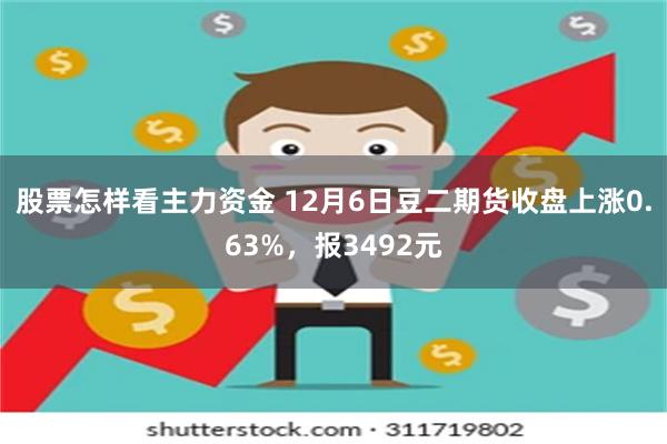 股票怎样看主力资金 12月6日豆二期货收盘上涨0.63%，报3492元