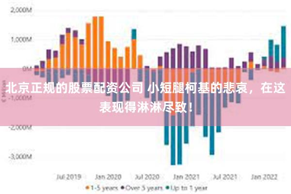 北京正规的股票配资公司 小短腿柯基的悲哀，在这表现得淋淋尽致！