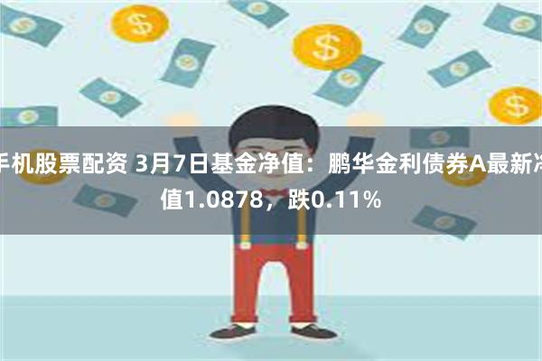 手机股票配资 3月7日基金净值：鹏华金利债券A最新净值1.0878，跌0.11%