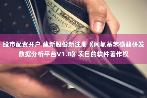 股市配资开户 建新股份新注册《间氨基苯磺酸研发数据分析平台V1.0》项目的软件著